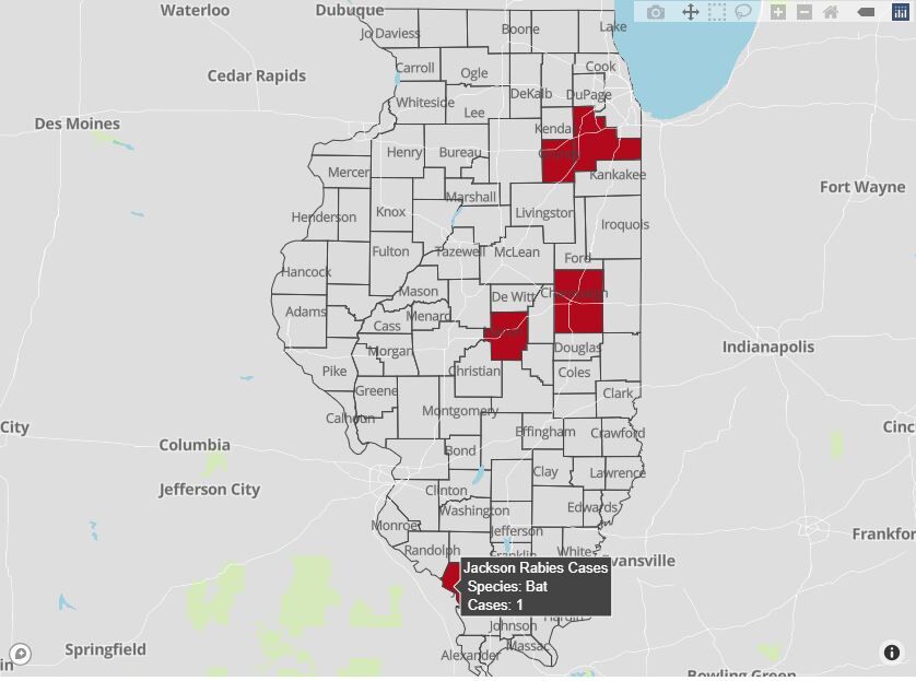 rabid animals Jackson County